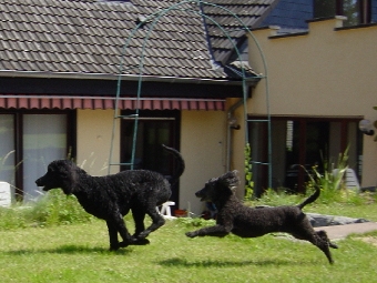 Hanka + Evi